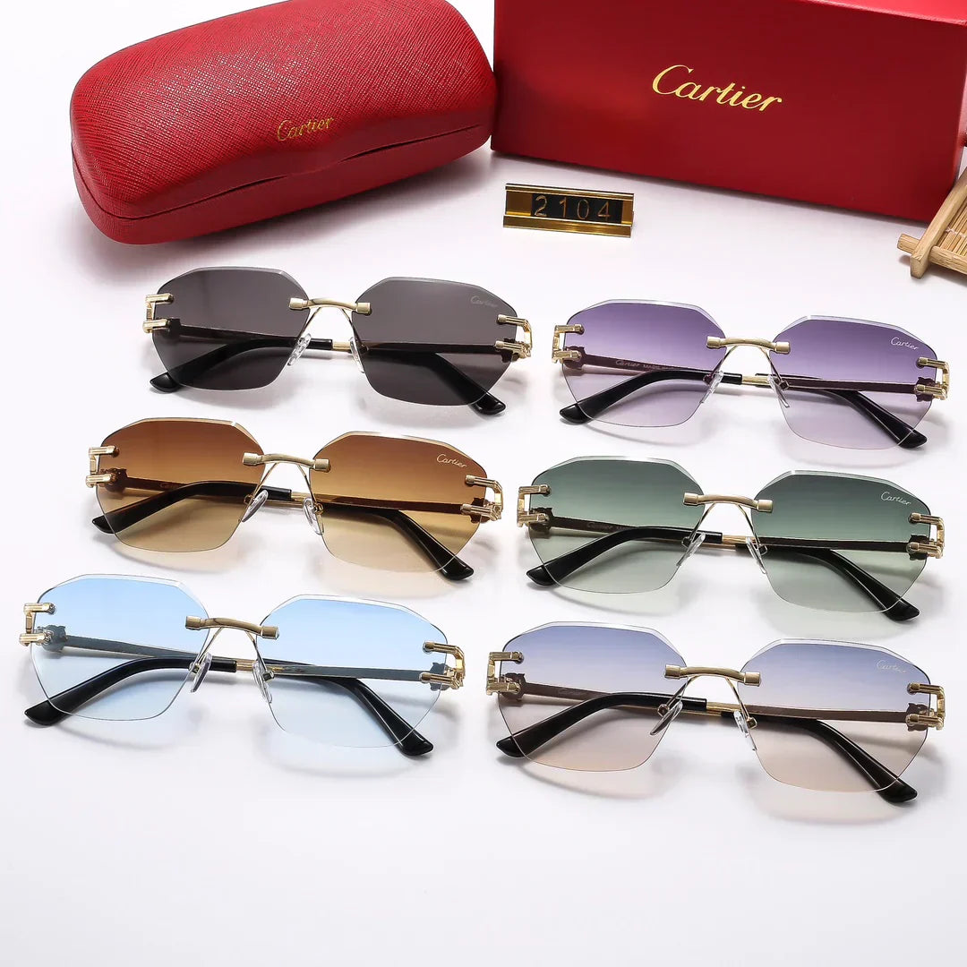 Fashion hot 6 color sunglasses 2104
